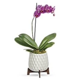 The Mid Mod Geometric Planter. An arrangement by Flowers of Jacksonville.
