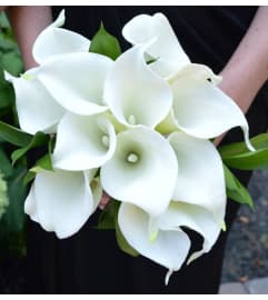 12 CALLA LILY NOSEGAY. An arrangement by Flowers by Priscilla. 12 CALLA LILY NOSEGAY. An arrangement by Flowers by Priscilla.
