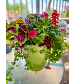 Patio Pot for Mom. An arrangement by Morgan Florist. Patio Pot for Mom. An arrangement by Morgan Florist.