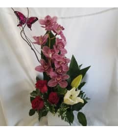 Magnificent Cymbidium Orchid. An arrangement by M's Flowers.