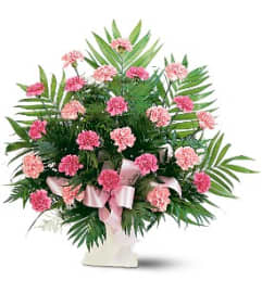 Classic Carnation Arrangement. An arrangement by Balloon Bouquets Plus. Classic Carnation Arrangement. An arrangement by Balloon Bouquets Plus.