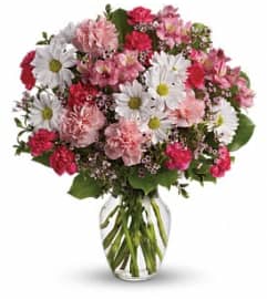 Teleflora's Sweet Tenderness Arrangement. An arrangement by Balloon Bouquets Plus.