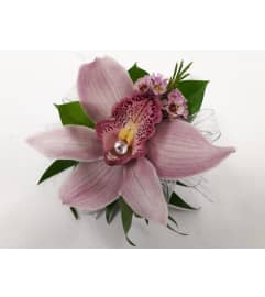 cymbid orchid Purple. An arrangement by Jennifer's Flowers and Gifts. cymbid orchid Purple. An arrangement by Jennifer's Flowers and Gifts.