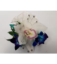 White Cymbid Orchid. An arrangement by Jennifer's Flowers and Gifts.