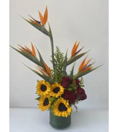 Paradise tropical. An arrangement by The Petals Delivery. Paradise tropical. An arrangement by The Petals Delivery.
