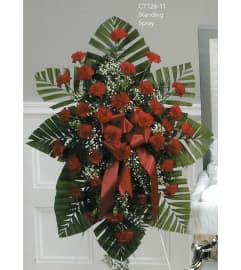 Red Carnation Hanging Spray(Ctt26-11). An arrangement by Roma Flowers and Gifts.