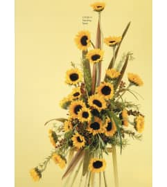 Sunflower Hanging Spray(Ctt38-11). An arrangement by Roma Flowers and Gifts.