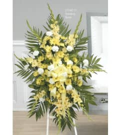 Yellow With White Hanging Spray(Ctt40-11). An arrangement by Roma Flowers and Gifts.