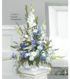 Blue and White Pedestal Arrangement(Ctt52-11). An arrangement by Roma Flowers and Gifts.