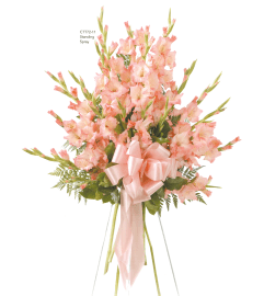 Pink Gladiola Hanging Spray(Ctt72-11). An arrangement by Roma Flowers and Gifts.