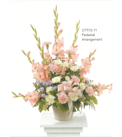 Pink White and Purple Pedestal Arrangement(Ctt73-11). An arrangement by Roma Flowers and Gifts.