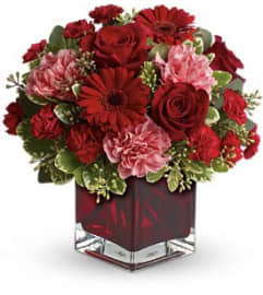 Teleflora's Together Forever Arrangement. An arrangement by Balloon Bouquets Plus. Teleflora's Together Forever Arrangement. An arrangement by Balloon Bouquets Plus.