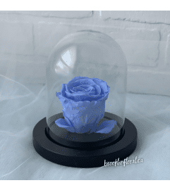 Enchanted Rose (Soft Blue). An arrangement by Brooklin Floral and Garden Shoppe Inc..