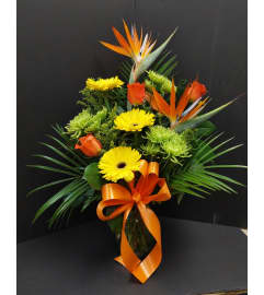 Tropical Bird Delight. An arrangement by Grower Direct Acadia.