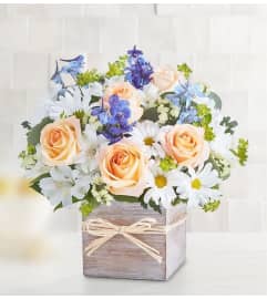 Coastal Serenity. An arrangement by L and J Blooms.