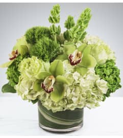 Beautiful Essence. An arrangement by Flower Lane.