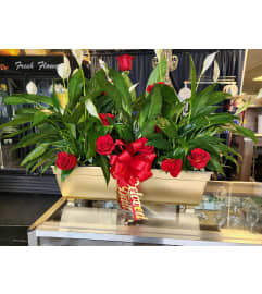 Triple Peace Lily Box. An arrangement by Now and Forever Flower Boutique.