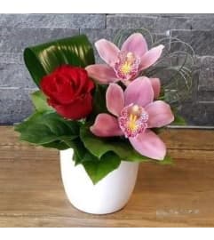 Ruby Orchid Bowl. An arrangement by Northwest Florist.