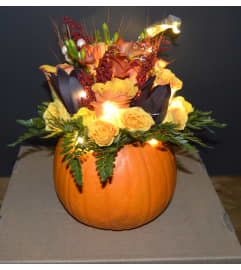 Pumpkin Arrangement with LED Lights. An arrangement by Judy Nicholls Floral Studio.