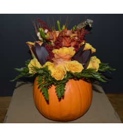 Fresh Pumpkin with array of fall flowers. An arrangement by Judy Nicholls Floral Studio.