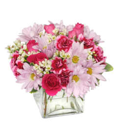 Thoughtful Expressions. An arrangement by Now and Forever Flower Boutique.