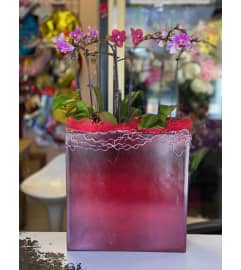 Perfect. An arrangement by Sunrise Floral and Gifts.