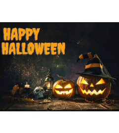 Happy Halloween Arrangement. An arrangement by Owen Sound Flowers.