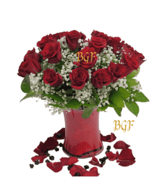Passion Red Roses. An arrangement by Aventura Glamour Flowers.