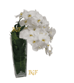 Modern Orchid Cascade. An arrangement by Brickell Exclusive Blooms.