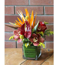 PARADISE VISITED. An arrangement by Twigs Flower Company.