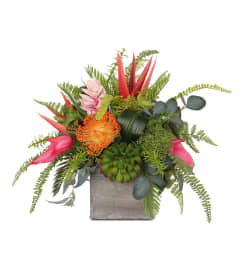 TROPICALS and SUCCULENTS. An arrangement by Twigs Flower Company.