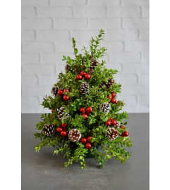 Christmas Boxwood Tree. An arrangement by Appleblossoms.
