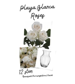 12/18 or 24 Playa Blanca Roses in a Vase. An arrangement by Roma James Gifts.