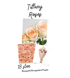 Tiffany Roses Wrapped (Peach). An arrangement by Roma James Gifts.