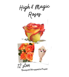 High and Magic Roses Wrapped. An arrangement by Lori's Hearts and Flowers.