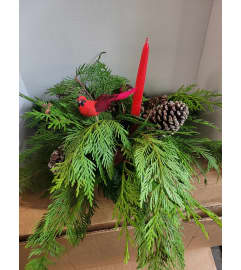 Red Cardinal Nest. An arrangement by Jane's Floral Dreams.