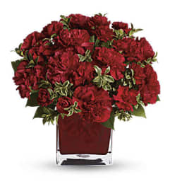 Season's Cheer. An arrangement by L and J Blooms. Season's Cheer. An arrangement by L and J Blooms.