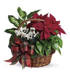 Season's Celebrations Basket. An arrangement by L and J Blooms.