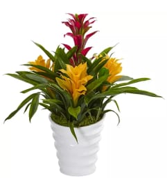 Triple Bromeliad Garden by Twigs. An arrangement by Twigs Flower Company.