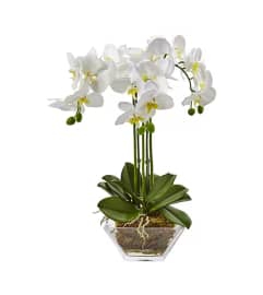 Waterfall Orchids. An arrangement by Twigs Flower Company.