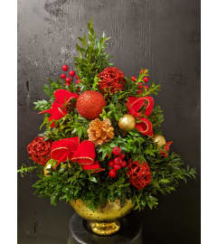 Decorated Living Boxwood Tree. An arrangement by Fleur du Jour.