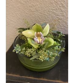Orchid I Glad I Thought of You. An arrangement by Loyalist Flowers.
