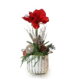 MC26. An arrangement by Win's Flowers.