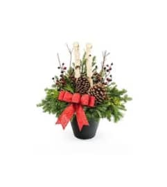 MC27. An arrangement by Win's Flowers.