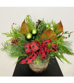 Winter Green wonderland. An arrangement by Osborne Florist. Winter Green wonderland. An arrangement by Osborne Florist.