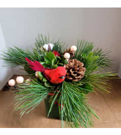 Cardinal nest. An arrangement by Jane's Floral Dreams.