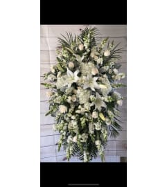 FN16. An arrangement by Win's Flowers.