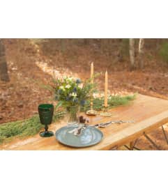 Petite Arrangements - 2, 3, or 4. An arrangement by Foraged Floral of Cape Cod.