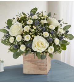 Country Pearl Succulent. An arrangement by Flowers of Jacksonville.