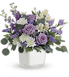 Honey Lavender Blooms TEV66-6A. An arrangement by Jennifer's Flowers and Gifts.